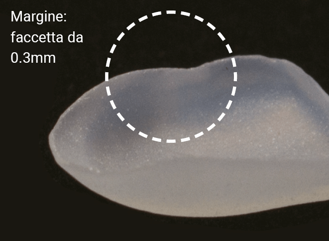 integrità-bordi-amber-mill-hassbio-blocchetti-disilicato-litio