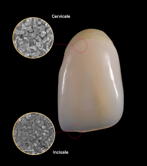 amber-mill-direct-hassbio-blocchetti-disilicato-litio-gradiente-funzionale-microstrutture